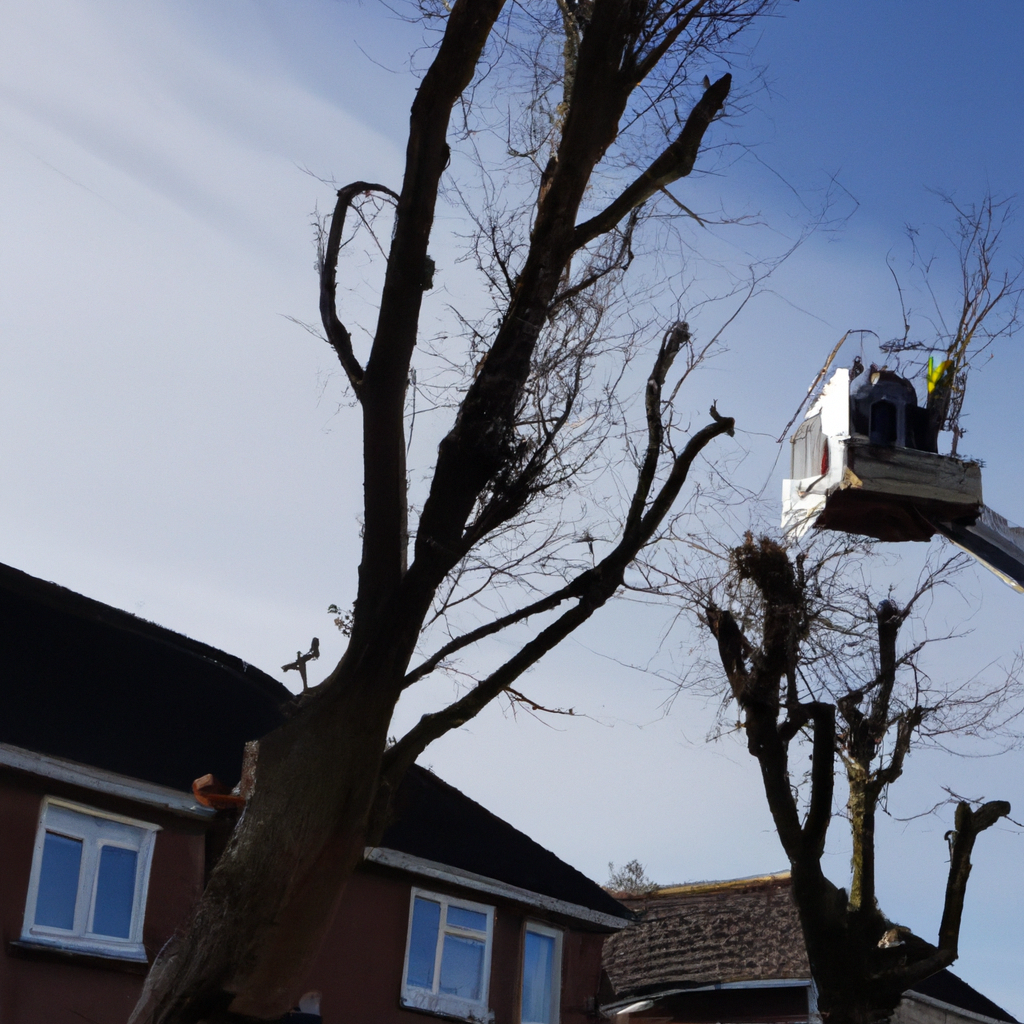 Tree Trimming in Chelmsford CM1