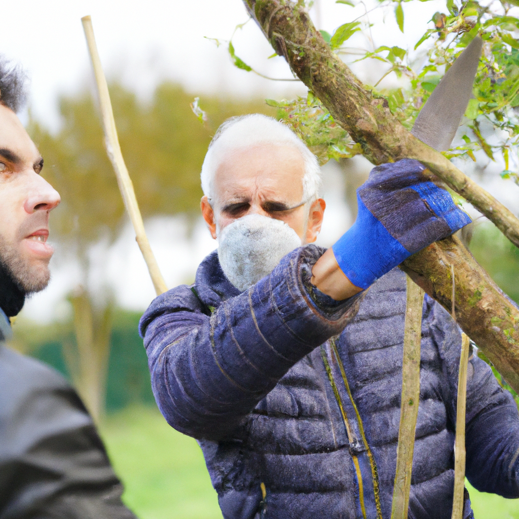 Tree Health Care in Bayonne