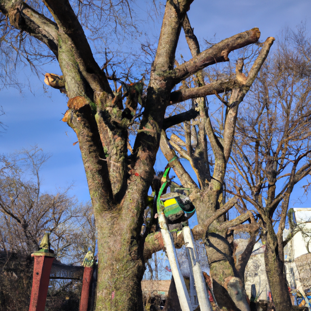 Tree Trimming in Camden