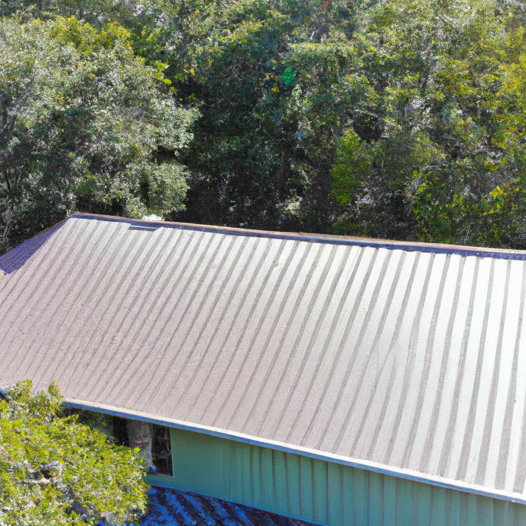 Metal Roofing in Homosassa Springs