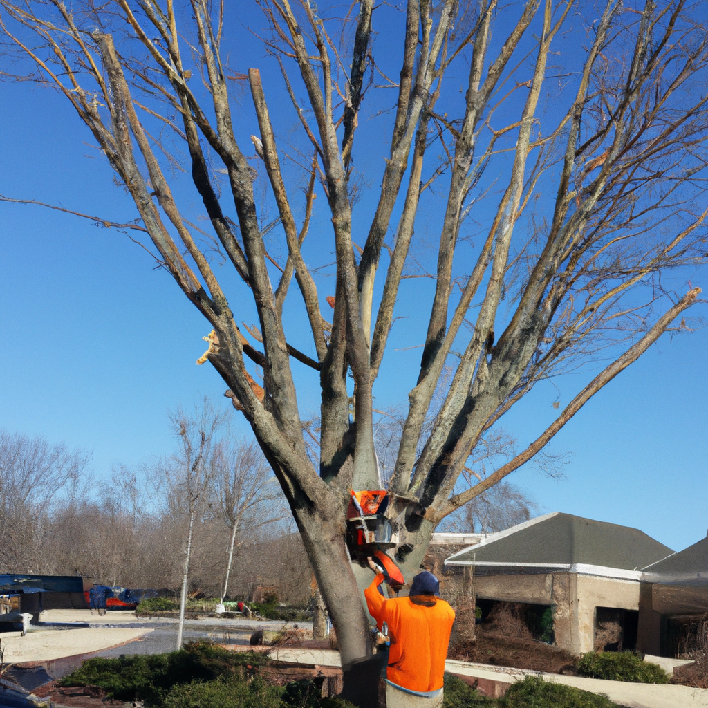 Tree Trimming in Woodbury