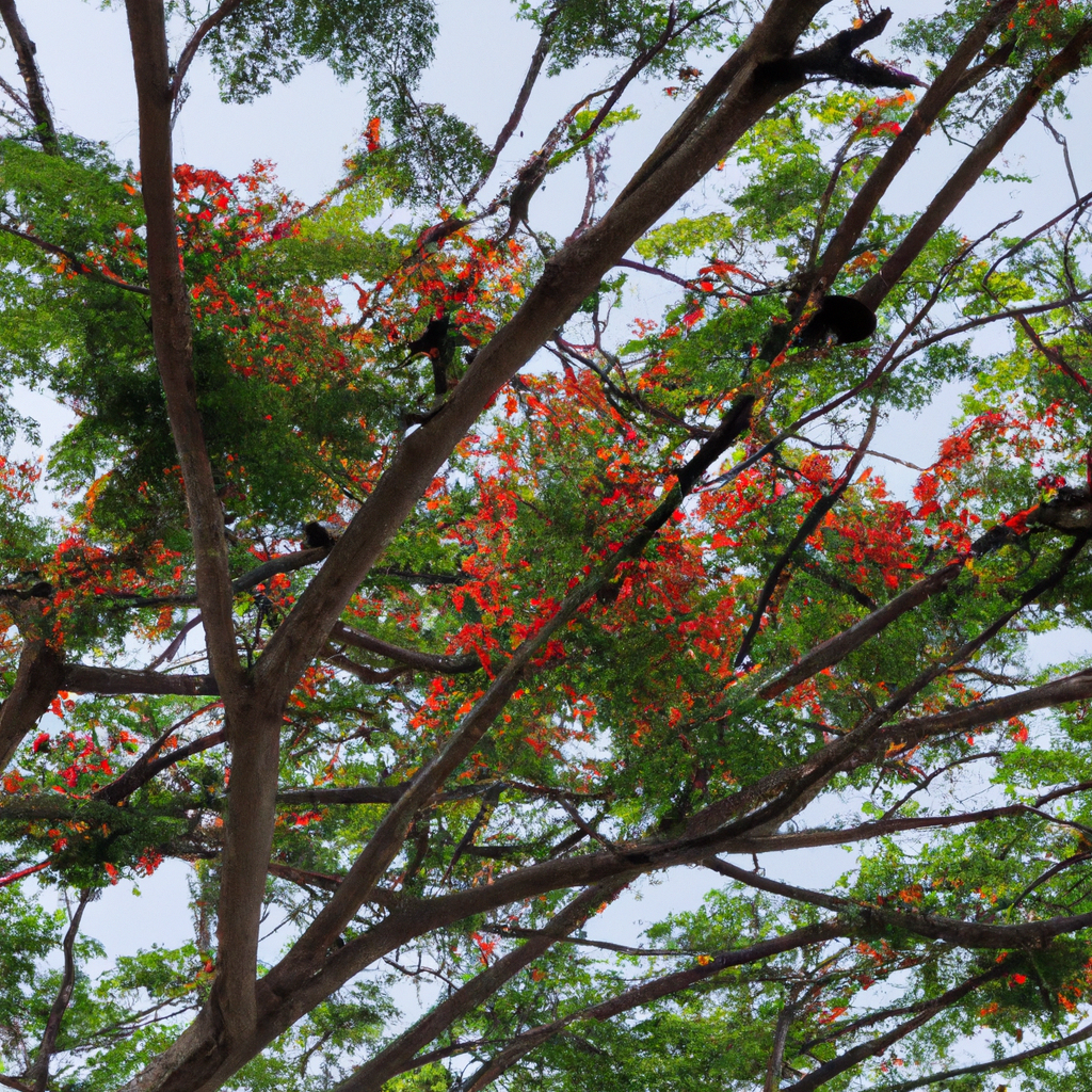 Tree Health Care in Poinciana