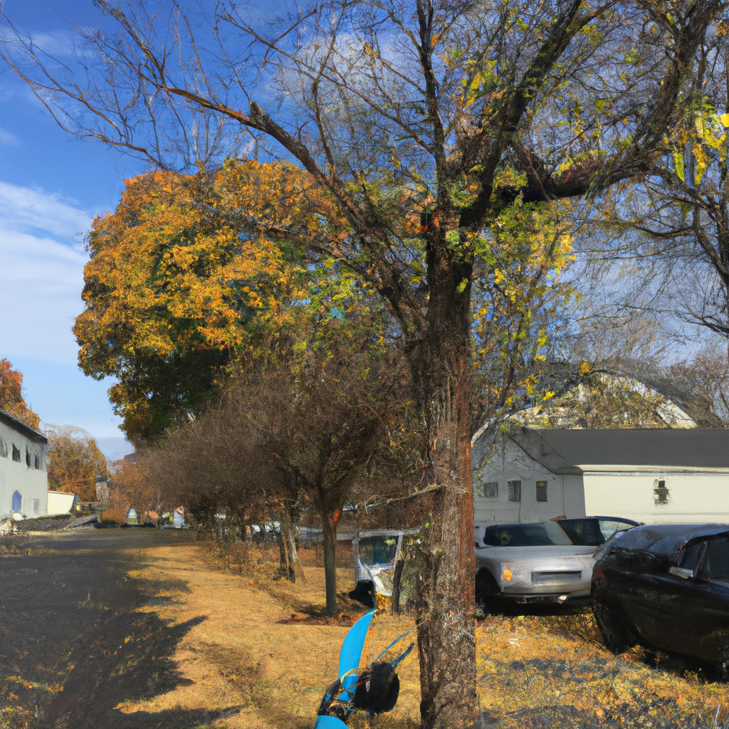 Tree Trimming in Pawtucket