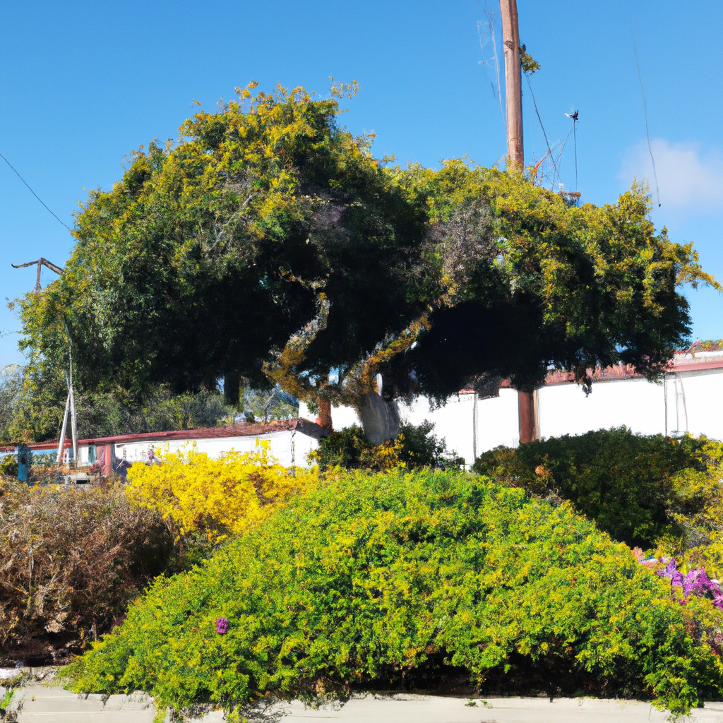 Tree Health Care in Baldwin Park