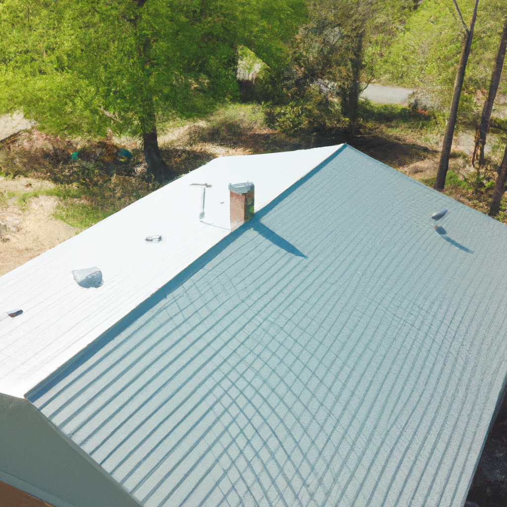 Metal Roof Repair in Middleburg
