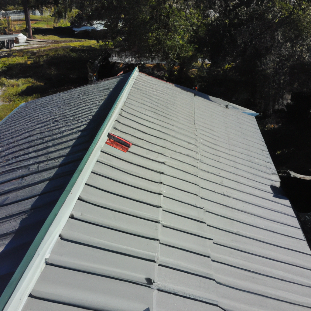 Metal Roof Repair in Sanford