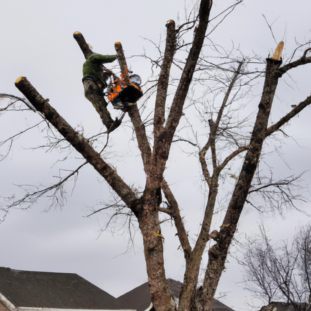 Tree care professionals in Arlington Heights