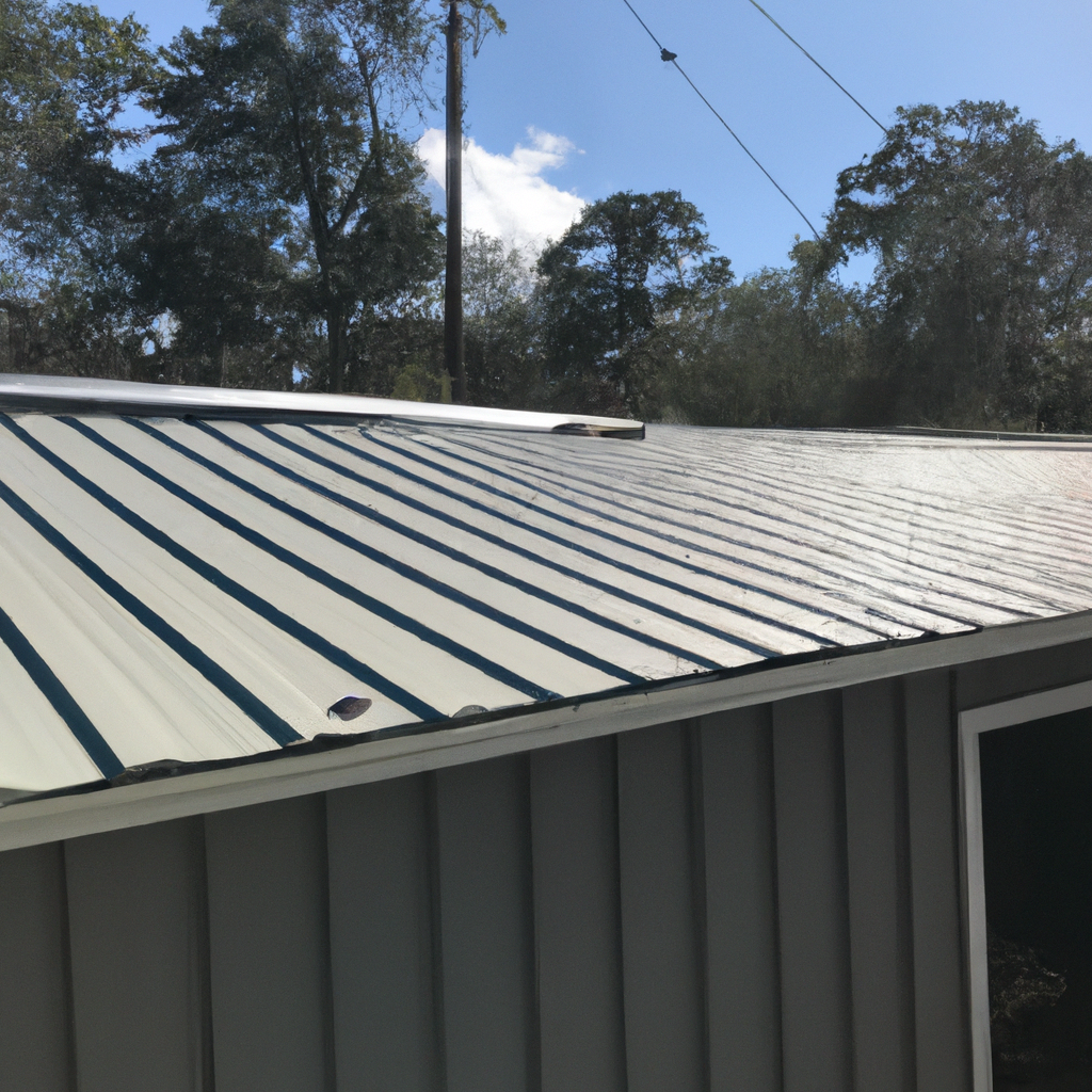 Metal Roof Repair in Lady Lake